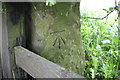 Benchmark on gatepost on NE side of Moor Lane