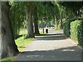 Riverside walk near Greyfriars Bridge