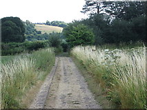 SP9402 : Start of the Herbert’s Hole path off Drydell Lane by Peter S