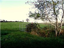 H4681 : An open field, Tircur by Kenneth  Allen