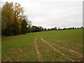 Farmland near Ecton