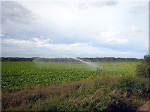 TG0940 : Crop irrigation beside the North Norfolk Railway at Holt by Rod Allday