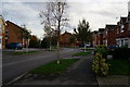 Lindengate Avenue off Leads Road, Hull