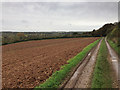 SU3739 : Fields near Fullerton by James Harrison