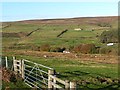 The valley of the Burnhope Burn