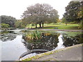 Reflections in Queens Park Pond