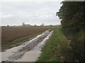 SE9106 : Muddy track alongside a plantation by Jonathan Thacker