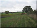 SE9205 : Corner of a field near Holme by Jonathan Thacker
