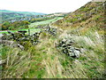 Twisty path with ruined drystone walls