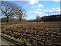 Ploughed field, Wilsworthy