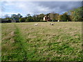 Looking back to Tanyard Farm