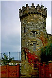 C4316 : Derry - Heritage Tower East of Bishop Street Without by Joseph Mischyshyn