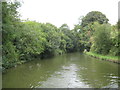 Grand Union Canal: Reach in Aldbury