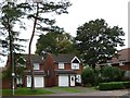 Detached houses on Digswell Rise