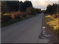 Road past Dalachy Airfield (disused)