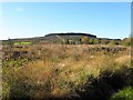 Tully Townland