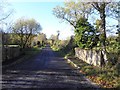 Bridge along Bradan Road at Tully