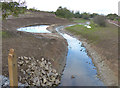 SK5501 : Lubbesthorpe Brook Flood Alleviation Scheme by Mat Fascione