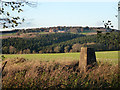 View from the trig point