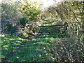 Rutland Round access gates near Langham