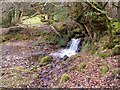 Small waterfall, Poundsgate