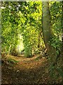 Footpath south of Prestwick Lane