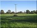 Field close to Doddington