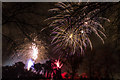 TQ3296 : Enfield Town Park Fireworks 2013 by Christine Matthews