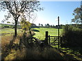 Start of the bridleway to Hooton Roberts