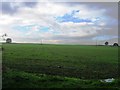 Fields west of Royds Lane