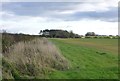 NU1931 : Arable field with pasture and rough surround by Russel Wills