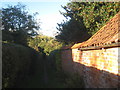 Path between the houses