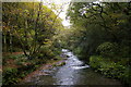 Valency River: view upstream from the footbridge in Peter