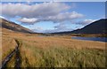 NH1321 : Path past Loch Coulavie by Craig Wallace