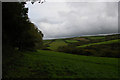 Looking up the Valency valley from St Juliot