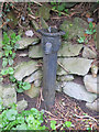 Nercwys village pump/tap