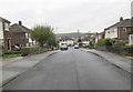 Cambridge Grove - looking towards Cambridge Way