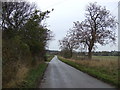 Burton Agnes Balk heading north near Manor House Farm