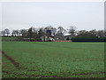 Farmland, Breeze Farm