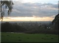 Late afternoon view from Foxhills Sports Field