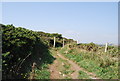 SS0998 : Pembrokeshire Coastal Path by N Chadwick