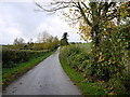 Approaching Homestead Farm