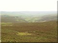 NT9104 : Moorland above the valley of Barrow Burn by Mike Quinn