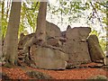 Trees & Rocks, Virginia Water