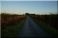 Mill Lane, Newport, East Yorkshire