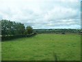 Pasture land at Ballynaloob