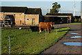 Hasholme Grange Farm, East Yorkshire.