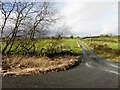 Lane, Aghnamirigan