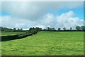 Pastureland west of the Ballybogy Road