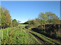 Path to Hooton Levitt leaves Tunwell Road